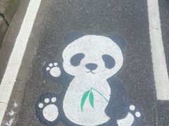 -扬州市茱萸湾风景区