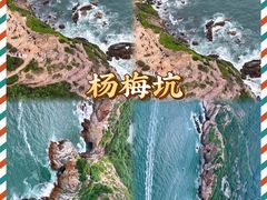 -杨梅坑