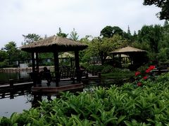 -成飞公园