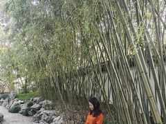 -秋霞圃