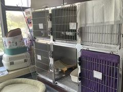 -宠爱国际动物医院·疑难骨科·心肾内科·皮肤科(太阳宫店)