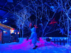 -圣名游乐城冰雪大世界