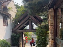 -鲁菜根·泰山菜(泰山店)