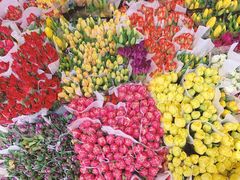 -循礼门鲜花花市(武汉循礼门店)