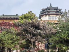 -中国农业博物馆