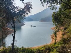 -广州市流溪河国家森林公园