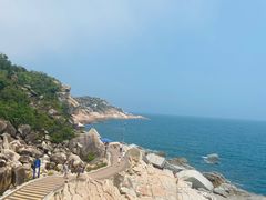 -广东惠东海龟国家级自然保护区