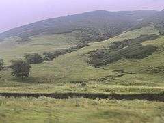 -玉龙沙湖景区