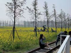 -兰陵国家农业公园