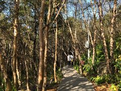 -白草畔自然风景区