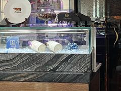 -AZUR聚(香格里拉饭店)