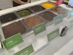 -Salud撒露欧洲冻酸奶(蓝色港湾店)