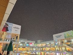 -首创奥特莱斯(北京店)