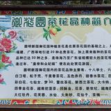 御花園位置就在正門入口右手邊