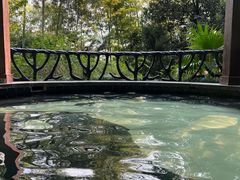 -宜春明月山维景国际温泉度假酒店