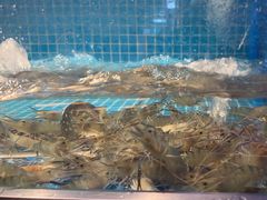 -曼格活海鲜·牛排自助(光明蓝鲸店)