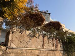 -杭州西湖风景名胜区-满觉陇四眼井