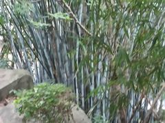 -北山公园