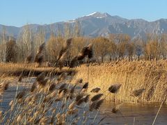 -野鸭湖国家湿地公园