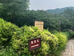 -北京西山国家森林公园