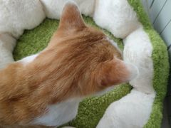 -恒真面包烘焙坊