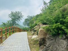 -白水寺森林公园