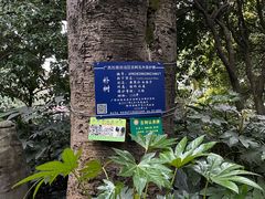 -柳侯公园