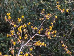 -钰园(水绘园店)