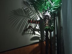-海悦容庭SPA·按摩·推拿(埌西店)