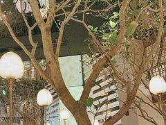 -桂满陇·海市蜃楼·黑金(国金店)