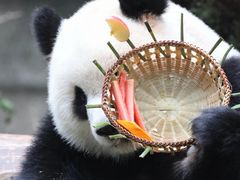 -全季酒店(重庆上清寺牛角沱地铁站店)