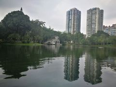 -晓港公园