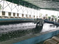 -光头佬钓虾场·烧烤·聚餐·亲子(金沙洲店)