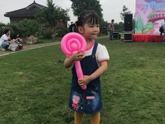 -鹅湖玫瑰文化园