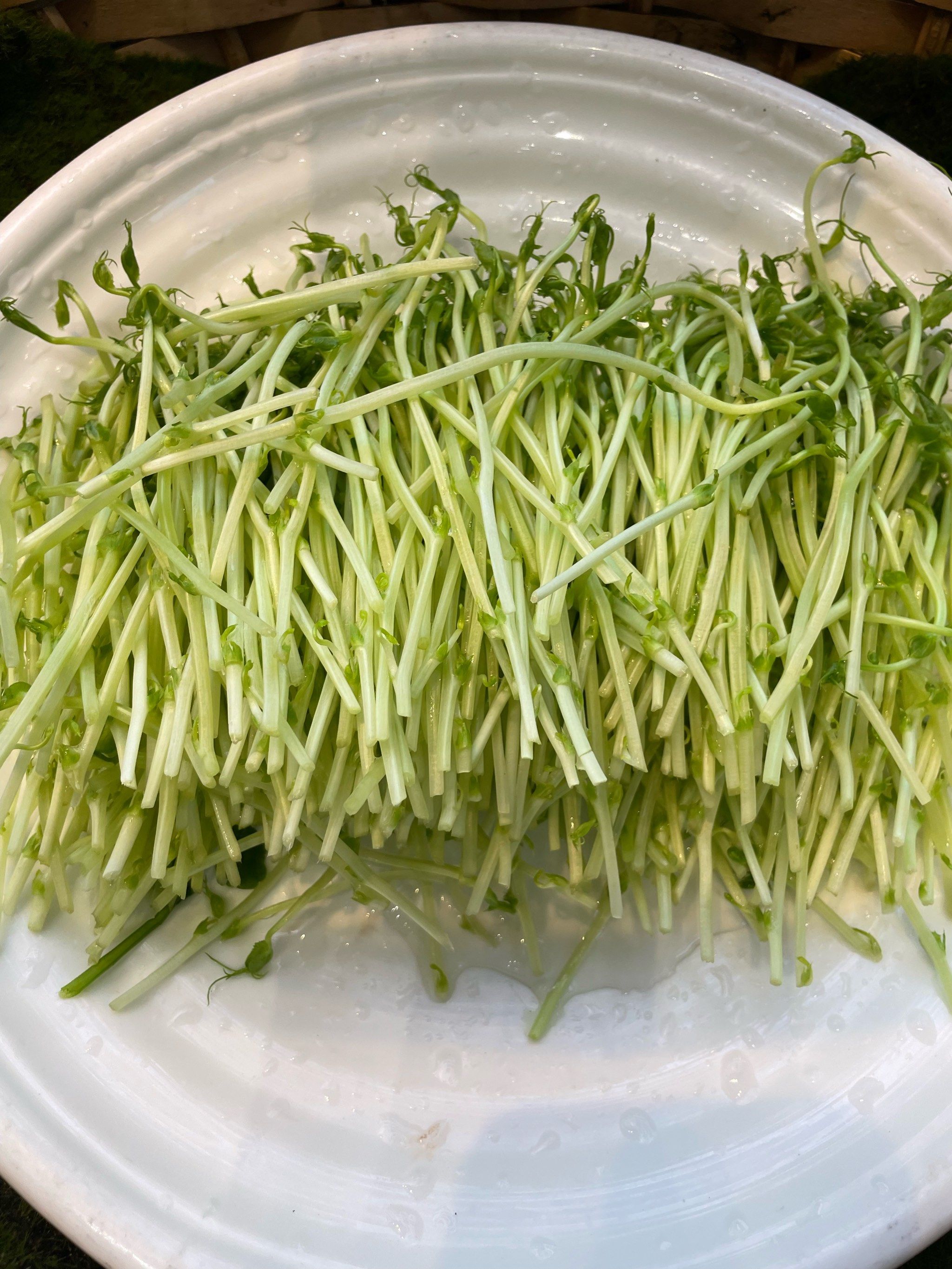 冬季不要买这5种蔬菜没养分还会伤身体菜估客自己都不吃别粗心！