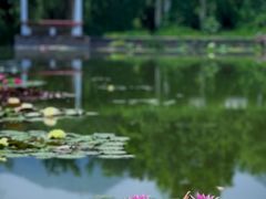 -国家植物园南园