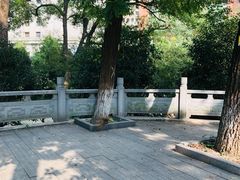 -长沙市青少年宫