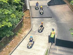 -圣淘沙天际线斜坡滑车