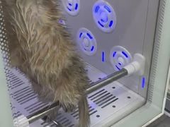-爱洗澡的猫(天河路店)