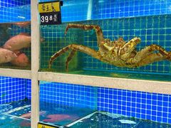 -金龙·打边炉(南京西路店)