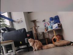 -爱诺耐芙动物医院(万博店)