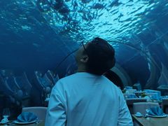 -海棠湾洲际-涛·海底餐厅·美人鱼·自助餐·海底隧道