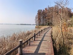 -东湖落雁景区