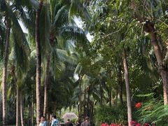 -三亚湾海居铂尔曼度假酒店