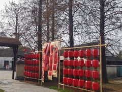 -同里国家湿地公园