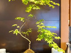 -湖里春风·淮扬菜(丽泽天街店)