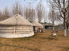 -九十九顶毡房(阜石路店)