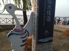 -丁香湖公园