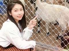 -丹樱生态园