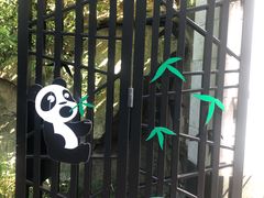 -石排湾郊野公园